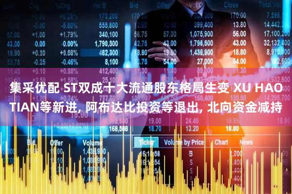 集采优配 ST双成十大流通股东格局生变 XU HAOTIAN等新进, 阿布达比投资等退出, 北向资金减持