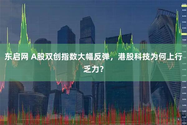 东启网 A股双创指数大幅反弹，港股科技为何上行乏力？